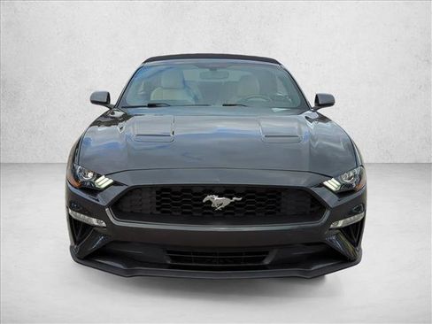 Certified 2019 Ford Mustang Premium image 2