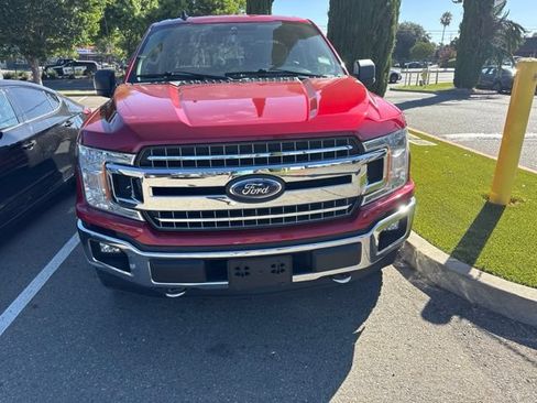 Used 2020 Ford F150 XLT w/ Equipment Group 302A Luxury AWD/4WD image 1