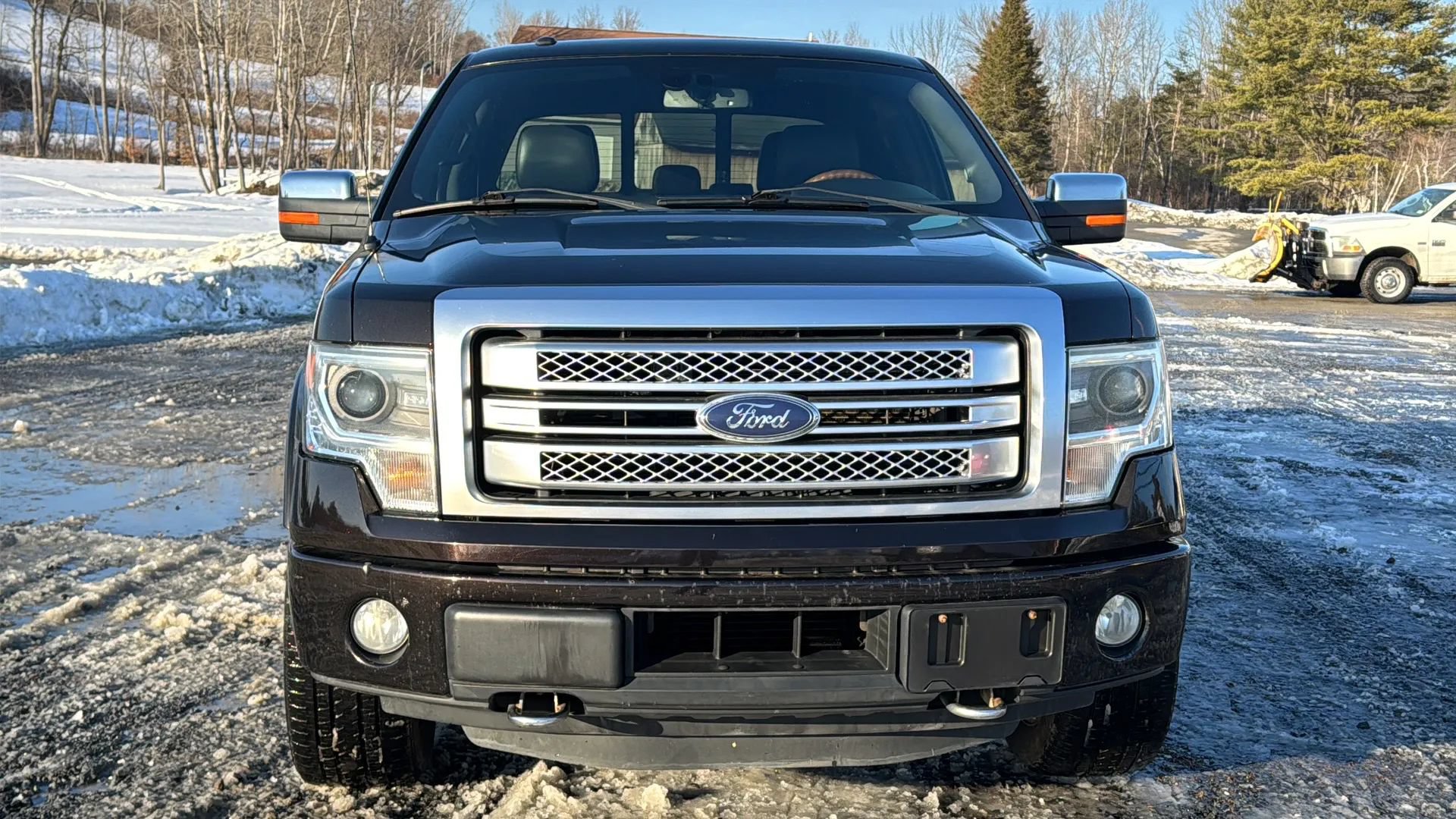 Used 2014 Ford F150 Platinum AWD/4WD image 2