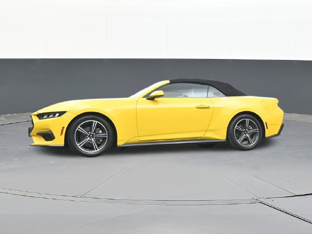 Used 2024 Ford Mustang Premium RWD image 51