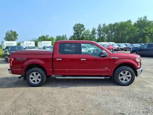 Used 2016 Ford F150 XLT w/ Equipment Group 302A Luxury AWD/4WD image 7