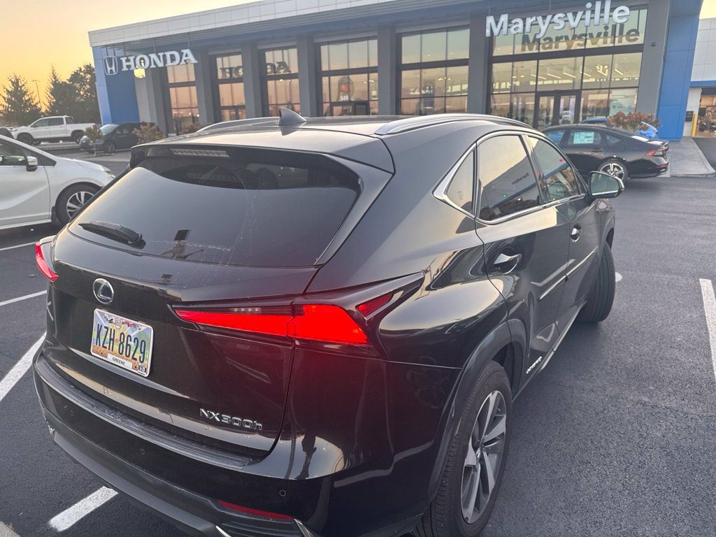Used 2018 Lexus NX 300h AWD w/ Luxury Package image 4
