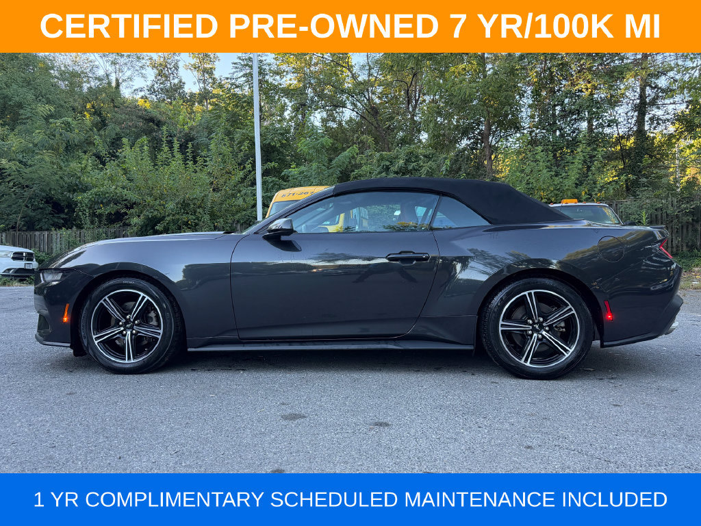 Used 2024 Ford Mustang Premium RWD image 4