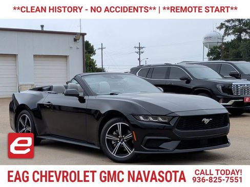 Used 2024 Ford Mustang Premium RWD image 1