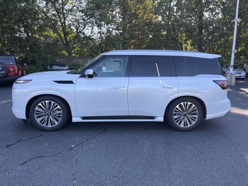 New 2026 INFINITI QX80 Luxe w/ Cargo Package image 6