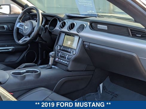 Certified 2019 Ford Mustang Premium image 14