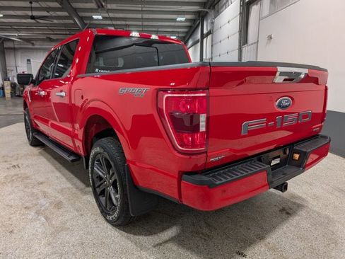 Used 2023 Ford F150 XLT w/ Equipment Group 302A High AWD/4WD image 6