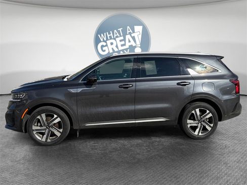 Used 2023 Kia Sorento SX Prestige image 7