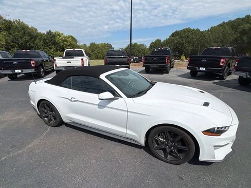 Used 2019 Ford Mustang Premium w/ Equipment Group 201A RWD image 20