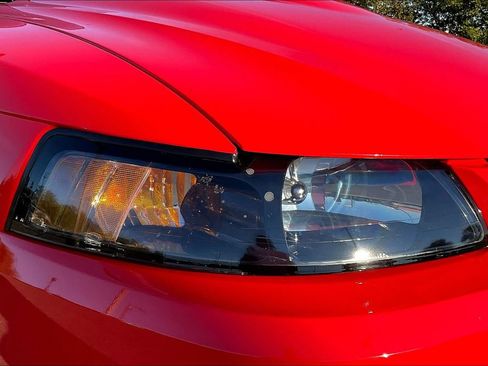 Used 2000 Ford Mustang Cobra RWD image 22
