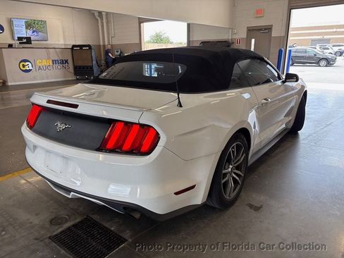 Used 2017 Ford Mustang Premium RWD image 4