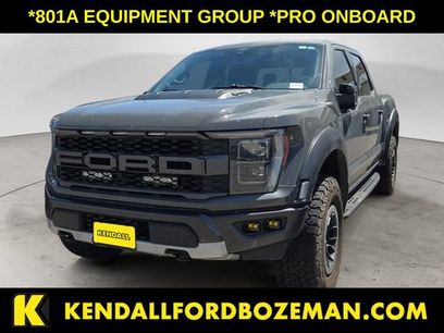 Used 2021 Ford F150 Raptor w/ Equipment Group 801A High