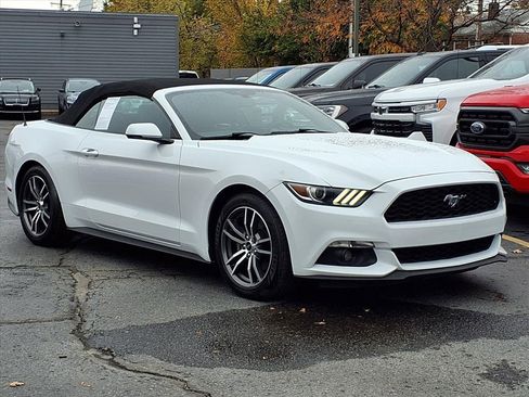 Used 2017 Ford Mustang Premium image 19