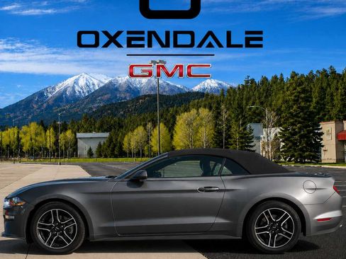 Used 2023 Ford Mustang Premium RWD image 2