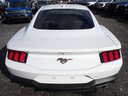 Used 2025 Ford Mustang Premium image 6