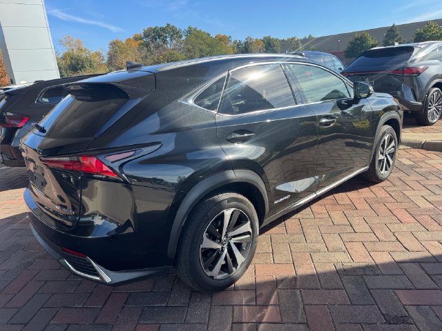 Used 2020 Lexus NX 300h AWD w/ Premium Package image 4