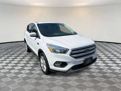 Used 2019 Ford Escape SE AWD/4WD image 1