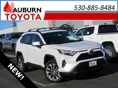 New 2025 Toyota RAV4 XLE Premium