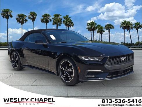 Used 2024 Ford Mustang Premium RWD image 1
