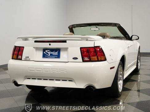 Used 2001 Ford Mustang Cobra RWD image 6