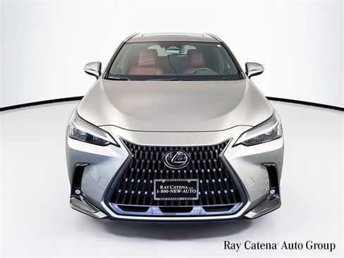Certified 2024 Lexus NX 350 AWD image 2