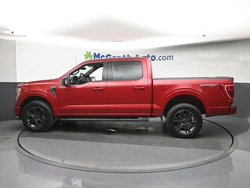 Used 2021 Ford F150 XLT w/ Equipment Group 302A High AWD/4WD image 23