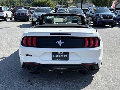 Used 2019 Ford Mustang Premium w/ Equipment Group 201A RWD image 7