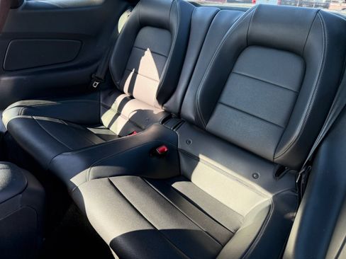 Used 2019 Ford Mustang Premium image 14