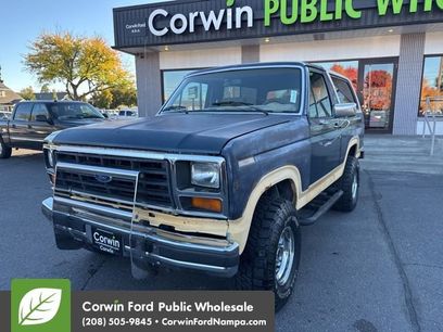 Used 1986 Ford Bronco Eddie Bauer