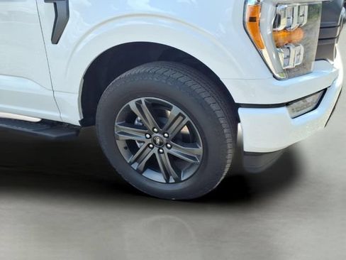 Used 2023 Ford F150 XLT w/ Equipment Group 302A High AWD/4WD image 4
