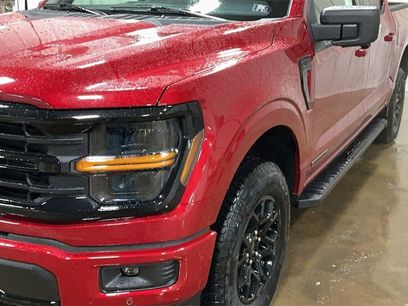 New 2025 Ford F150 XLT w/ Equipment Group 302A MID