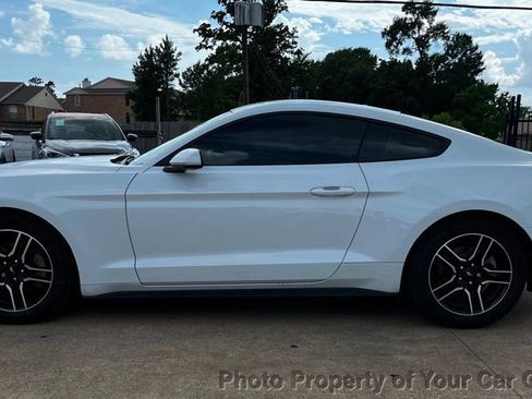 Used 2019 Ford Mustang Coupe w/ Equipment Group 101A RWD image 9