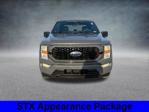Used 2021 Ford F150 XL w/ STX Appearance Package AWD/4WD image 3