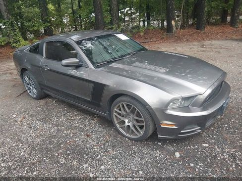 Used 2014 Ford Mustang GT w/ Equipment Group 301A RWD image 1