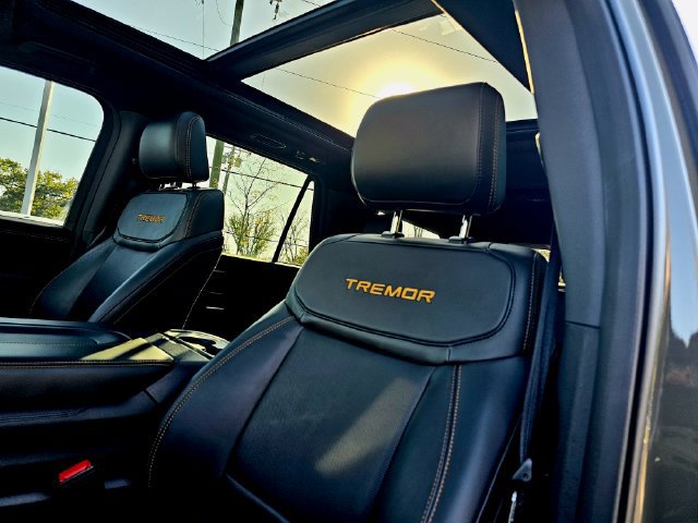 Used 2025 Ford Expedition Tremor AWD/4WD image 20