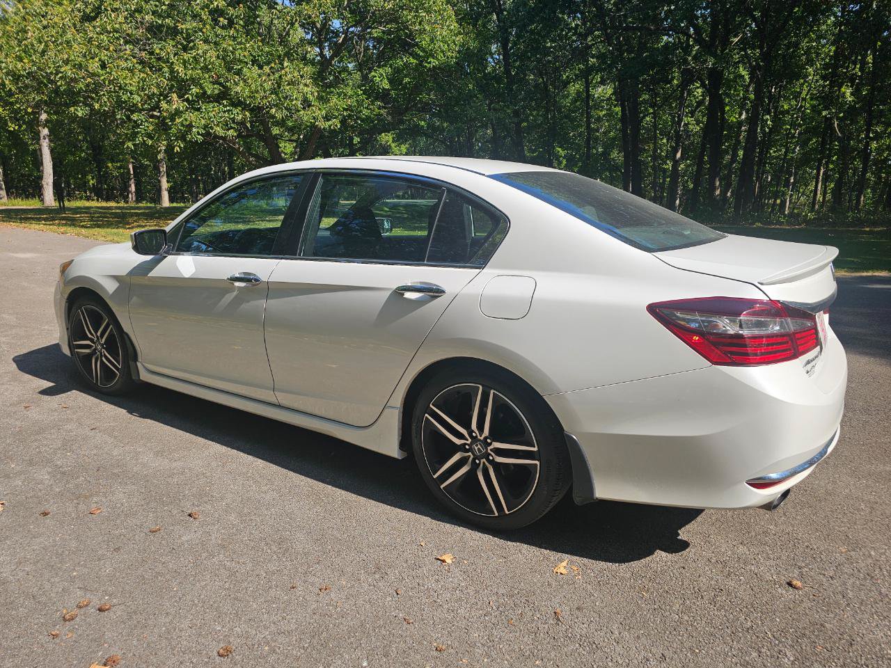 Used 2017 Honda Accord Sport Special Edition image 3