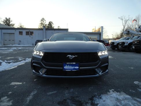 New 2026 Ford Mustang Premium RWD image 2