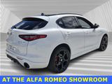 Used 2022 Alfa Romeo Stelvio Veloce image 6