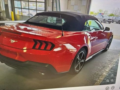 Used 2024 Ford Mustang Premium image 3