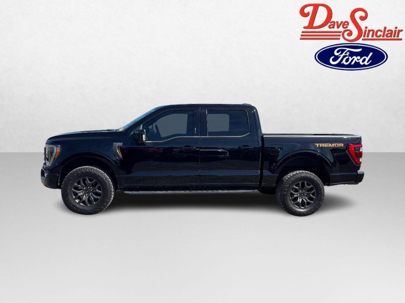 Used 2021 Ford F150 Tremor w/ Equipment Group 402A High AWD/4WD image 10