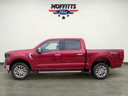 New 2026 Ford F150 XLT w/ Equipment Group 302A MID