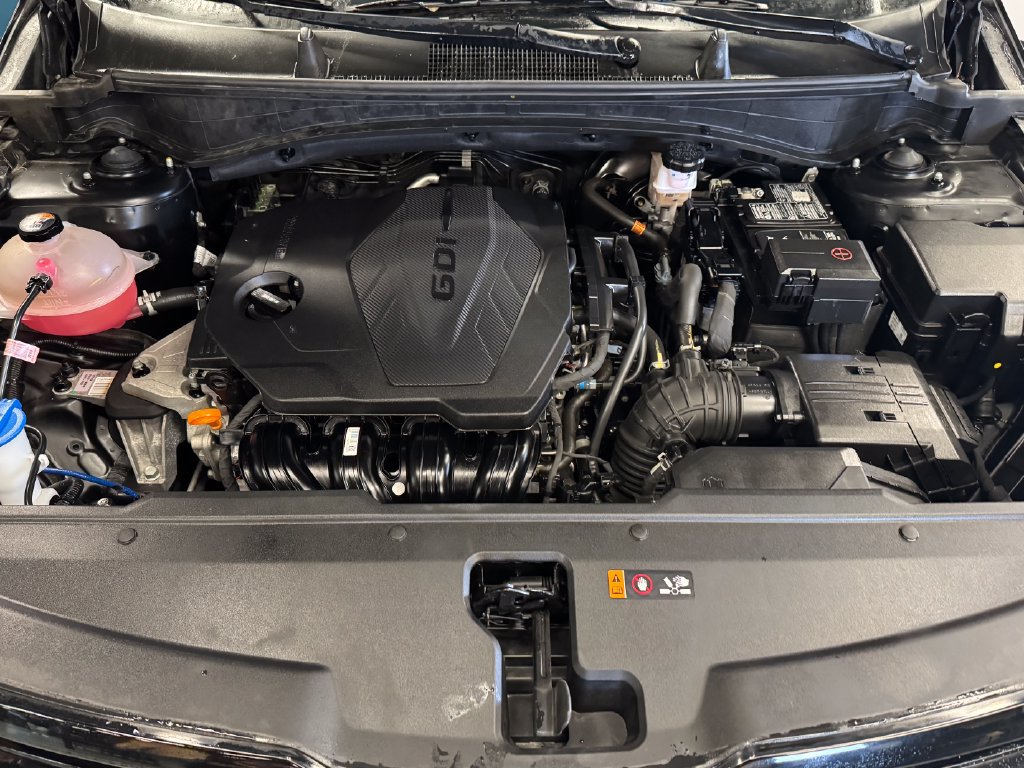 Used 2025 Kia Sportage X-Line AWD/4WD image 24