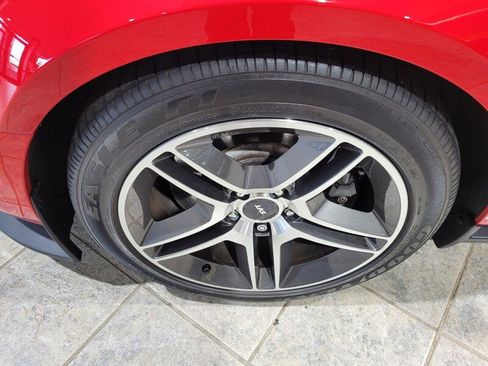 Used 2008 Ford Mustang Shelby GT500 image 14