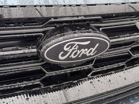 New 2025 Ford Expedition Platinum w/ Stealth Performance Package image 4