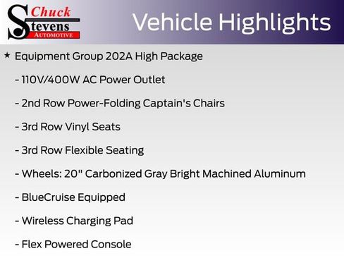 New 2025 Ford Expedition Active image 12