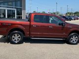 Certified 2016 Ford F150 XLT w/ Equipment Group 302A Luxury image 2