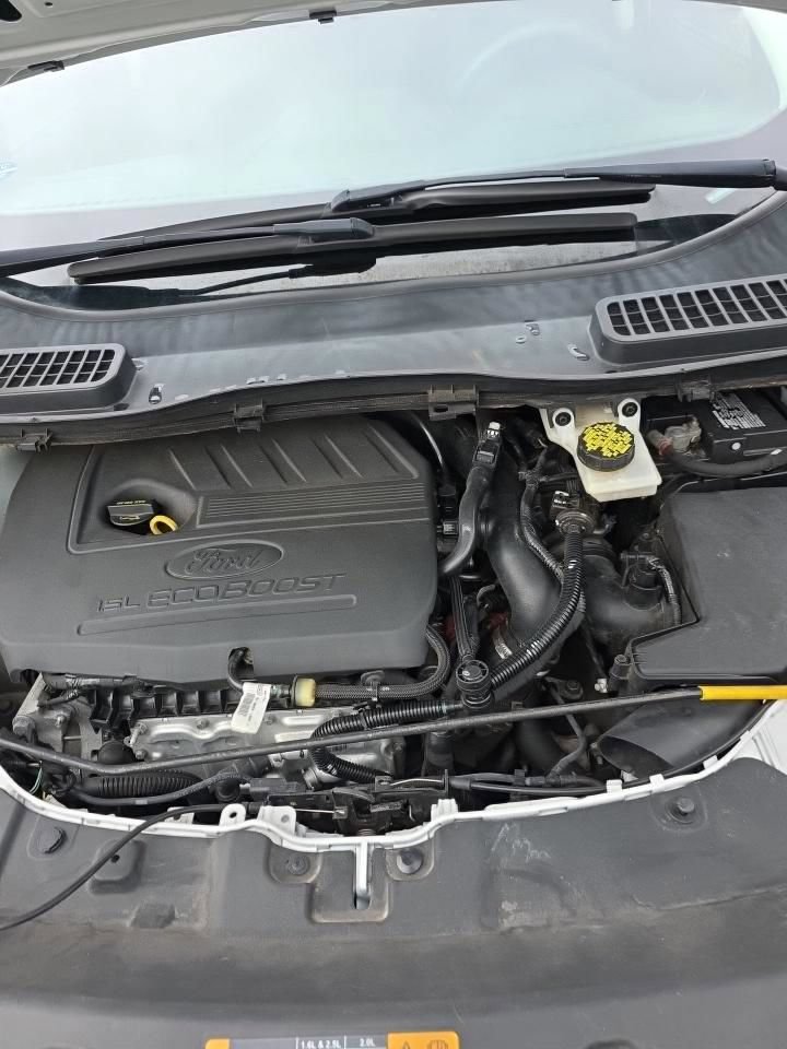 Used 2019 Ford Escape SE FWD image 25