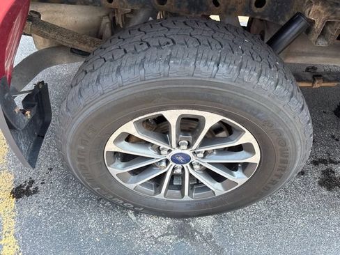 Used 2019 Ford F150 XLT w/ Equipment Group 302A Luxury AWD/4WD image 13