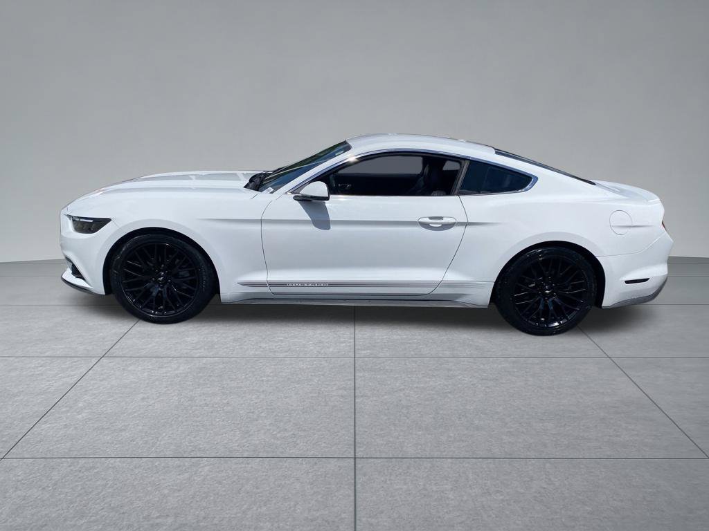 Used 2017 Ford Mustang Premium w/ Equipment Group 201A RWD image 3