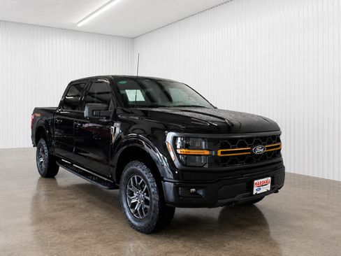 Used 2025 Ford F150 Tremor AWD/4WD image 1